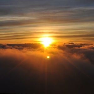 Meet your Posher, Joanna